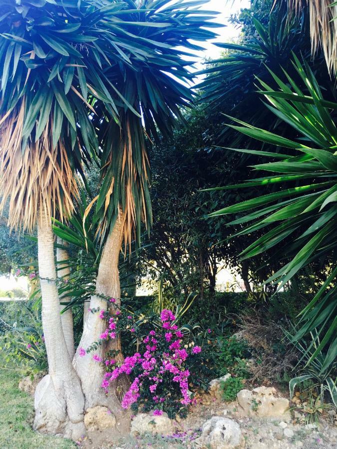 Apartament Casa De Mariposas Benalmádena Zewnętrze zdjęcie
